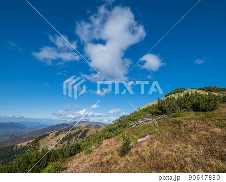 Autumn morning Carpathian Mountains calm picturesque scene, Ukraine. 90647830