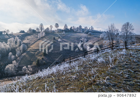 Winter coming. Last days of autumn, morning in mountain countryside peaceful picturesque hoarfrosted scene.  Ukraine, Carpathian mountains. 90647892