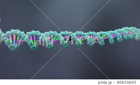 The genetic structure of 3D animated DNA The genetic structure of 3D animated DNA 90650605