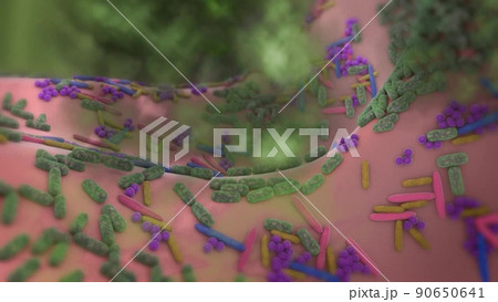 Magnifying glass and germs show signs of illness, internal organs (Chest, abdomen) are infected 90650641