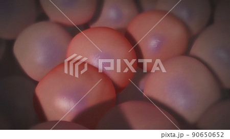 Cancer begins when genetic changes interfere with this orderly process. 90650652