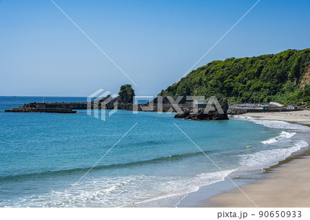 田牛海水浴場 田牛海水浴場 90650933