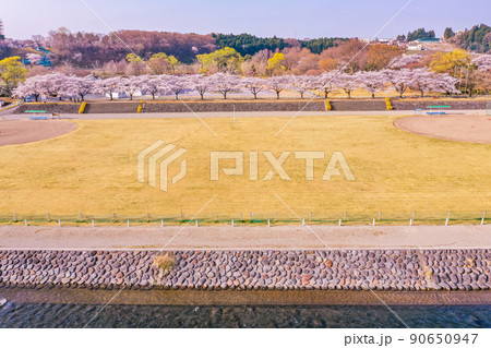 黒磯の桜並木、ドローン撮影、那珂川沿の桜、那須岳の雪化粧　　　　 90650947