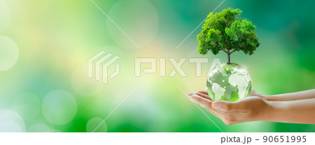 Growing tree on Globe crystal glass ball in human hand. Green Sunny background with bokeh. Saving environment, Save clean planet, Ecology, and World Earth Day Concept. Growing tree on Globe crystal glass ball in human hand. Green Sunny background with bokeh. Saving environment, Save clean planet, Ecology, and World Earth Day Concept. 90651995