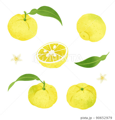 柚子の手描きイラスト 90652979