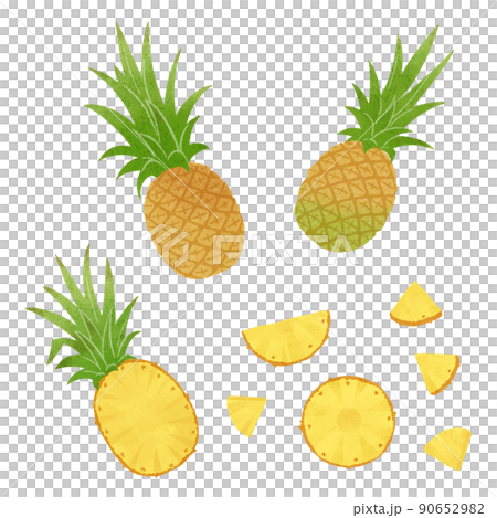 菠蘿的手繪插圖 90652982