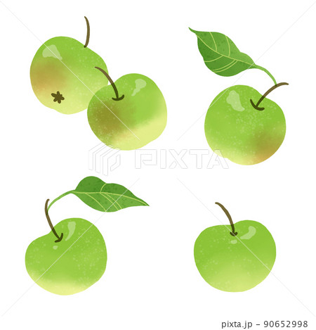 青リンゴの手描きのイラスト 90652998