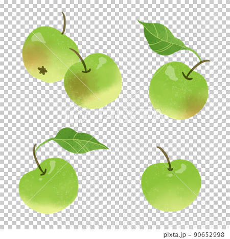 Hand drawn illustration of green apple Hand drawn illustration of green apple 90652998