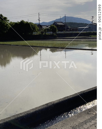 田舎の風景 90652999