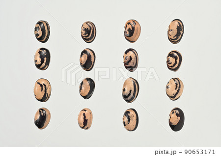 素材としての使用をはじめとした様々に活用できる、北海道産「貝豆」という豆の数粒整列真俯瞰撮影 素材としての使用をはじめとした様々に活用できる、北海道産「貝豆」という豆の数粒整列真俯瞰撮影 90653171