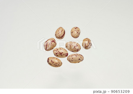 素材としての使用をはじめとした様々に活用できる、北海道産「うずら豆」という豆の数粒俯瞰撮影 素材としての使用をはじめとした様々に活用できる、北海道産「うずら豆」という豆の数粒俯瞰撮影 90653209