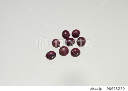 素材としての使用をはじめとした様々に活用できる、北海道産「さくら豆」という豆の数粒俯瞰撮影 90653220