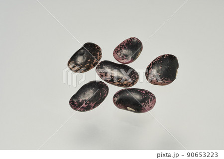 素材としての使用をはじめとした様々に活用できる、北海道産「紫花豆」という豆の数粒俯瞰撮影 素材としての使用をはじめとした様々に活用できる、北海道産「紫花豆」という豆の数粒俯瞰撮影 90653223