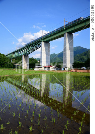 水鏡の田んぼと211系中央線普通電車 水鏡の田んぼと211系中央線普通電車 90653599