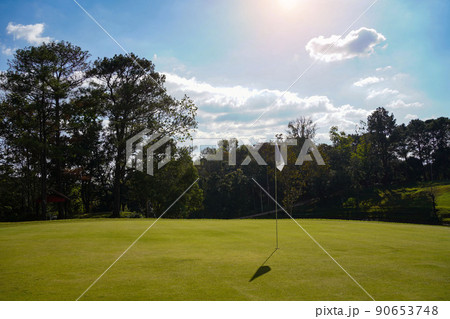View of Golf Course with beautiful putting green. Golf course with a rich green turf beautiful scenery. 90653748