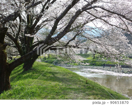 矢岸歩道橋付近の土手 90653870