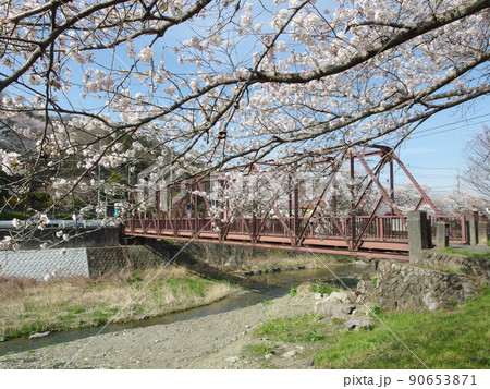 矢岸歩道橋　桜の季節 90653871