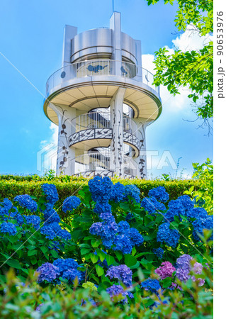 市民四季の森、満開のあじさい〈愛知県小牧市〉 90653976