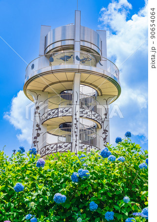 市民四季の森、満開のあじさい〈愛知県小牧市〉 90654064