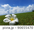 綺麗な空と花と緑 90655470