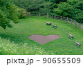 【秦野戸川公園】ハートの演出 90655509