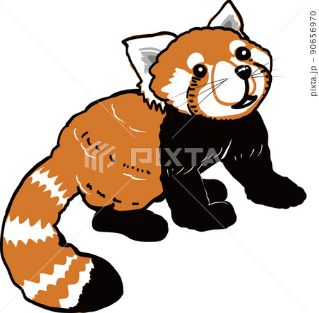 ぬいぐるみのような1匹のレッサーパンダ02/動物園 90656970