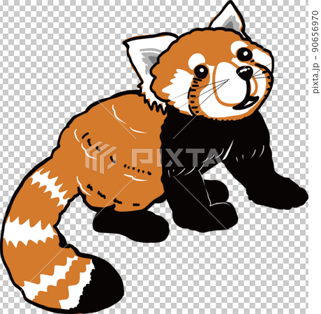 ぬいぐるみのような1匹のレッサーパンダ02/動物園 90656970