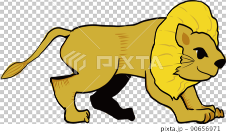 たてがみの大きな一匹の横向きライオン/動物園 90656971