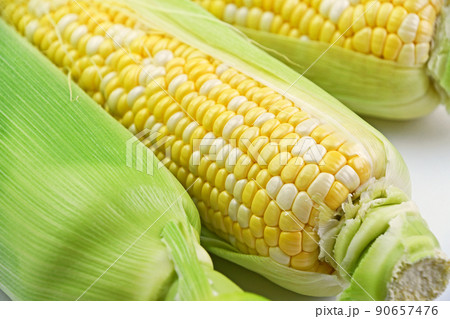 とうもろこし（ミルフィーユ） 90657476