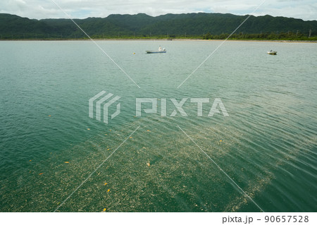 沖縄県 西表島 船浦湾 90657528