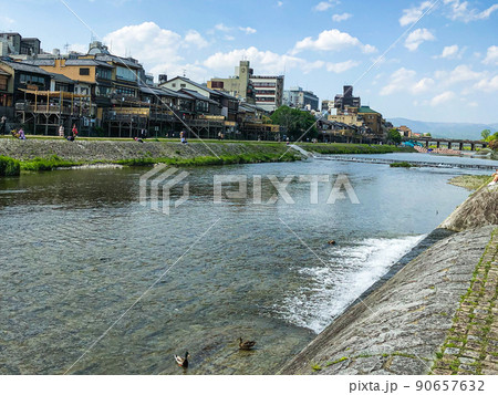 京都の鴨川と河原の街並みと三条大橋と鴨川の鴨 京都の鴨川と河原の街並みと三条大橋と鴨川の鴨 90657632