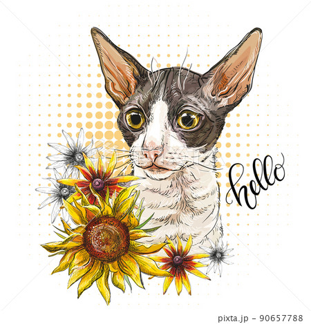 Portrait of a cat and sunflowers vector illustration Portrait of a cat and sunflowers vector illustration 90657788