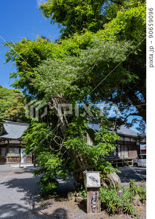 伊古奈比咩命神社 - 白濱神社 90659096
