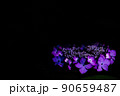 アジサイ花冠 90659487