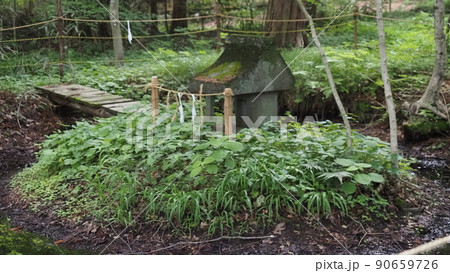 信濃二宮小野神社　御手洗池 90659726