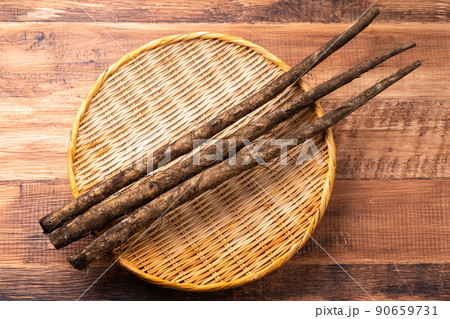 土ごぼう 土ごぼう 90659731