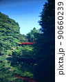 泉自然公園　赤いつり橋 90660239