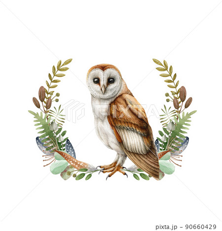 Barn owl with a natural rustic wreath element. Watercolor illustration. Hand drawn wildlife forest bird with fern, feathers, herbs elements. Beautiful forest natural decor 90660429