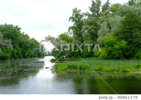 Ukraine, Sumy panoramic view on the river and forest 90661379