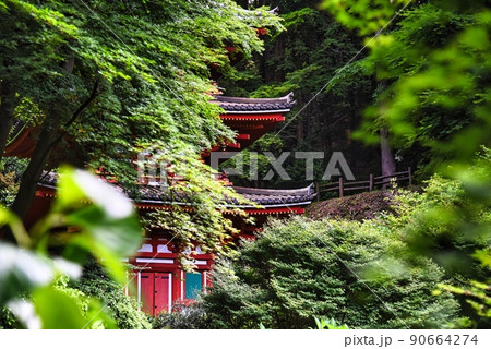 岩船寺_樹々から浮かび上がる三重塔 90664274