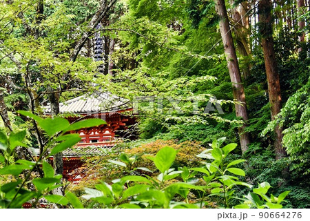 岩船寺_樹樹の向こうにある三重塔 90664276