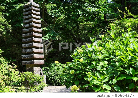 岩船寺_石灯籠とアジサイ 岩船寺_石灯籠とアジサイ 90664277