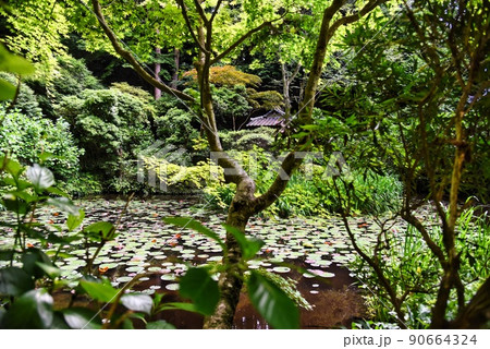 岩船寺_樹々の間からの祠 90664324