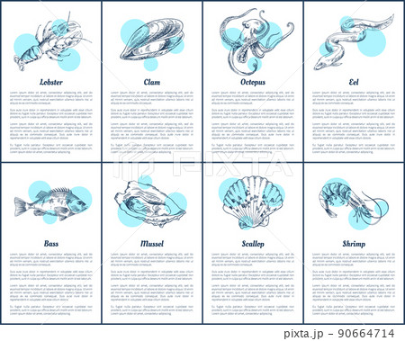 Lobster and Octopus Posters Vector Illustration 90664714