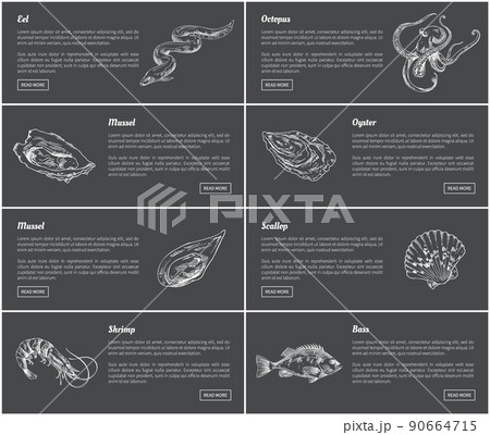 Eel and Octopus Marine Set Vector Illustration 90664715