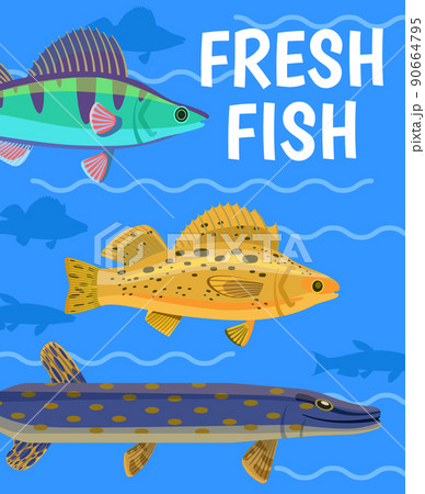 Vector Fish Illustration on Aquarium Background 90664795