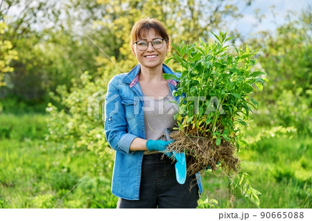 Beautiful middle aged woman with rooted phlox paniculata plant looking at camera 90665088