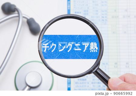 チクングニア熱（蚊媒介感染症） 90665992