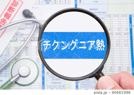 チクングニア熱（蚊媒介感染症） 90665996