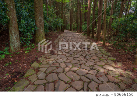 （静岡県）山中城址付近の箱根旧街道石畳 90666150